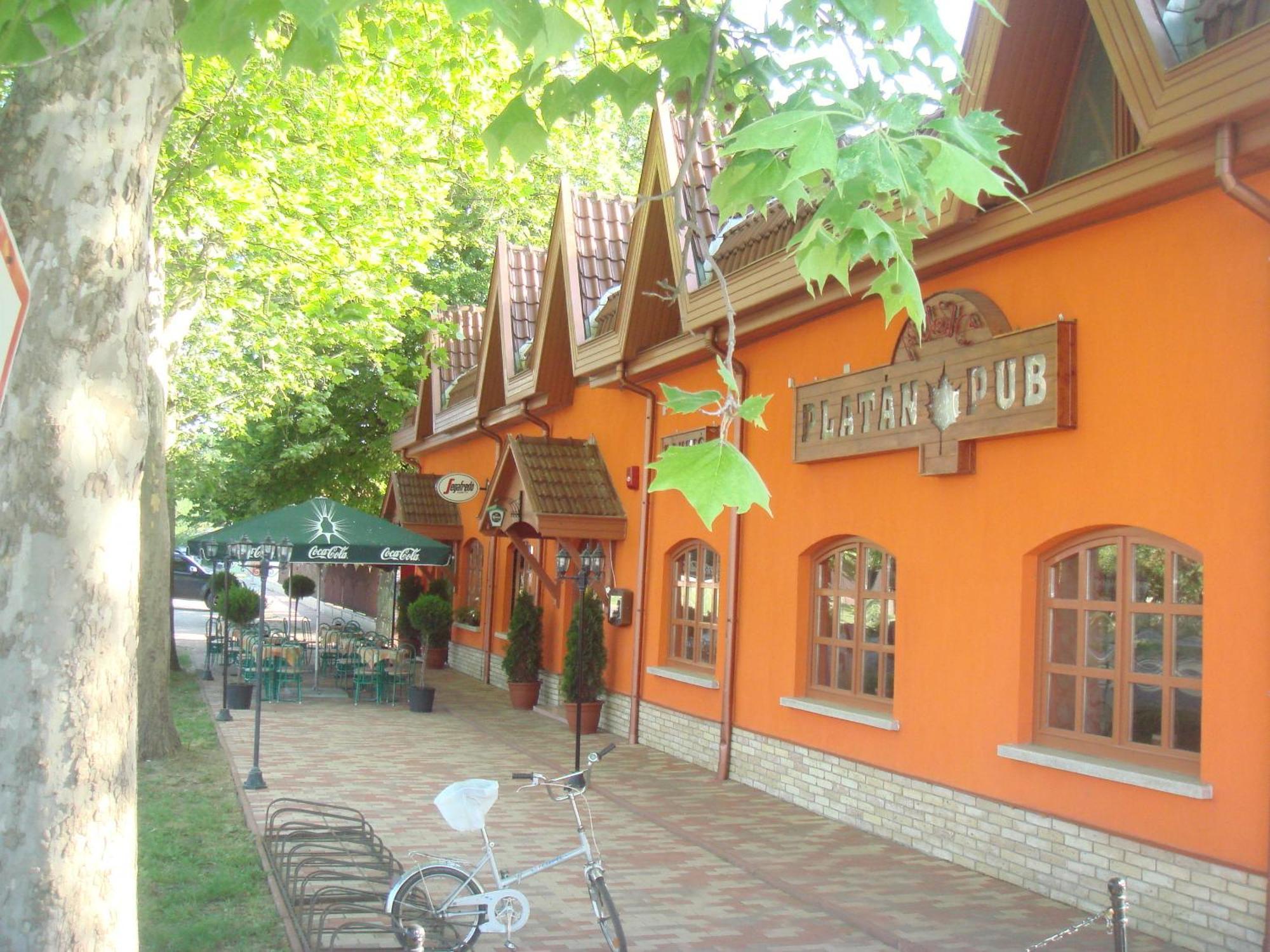 Bed and Breakfast Platán Panzió Nagyszenas Exterior foto